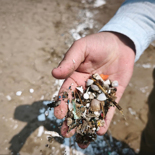 Akdeniz'de mikroplastik tehdidi artıyor
