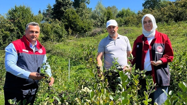 Düzce'de üretiminde yeni hedef katma değerli ürünler