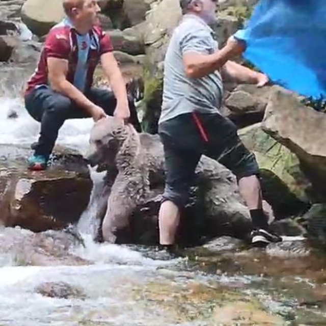 Derede kayalıklar arasına sıkışan bozayıyı mahalleli kurtardı; o anlar kame...