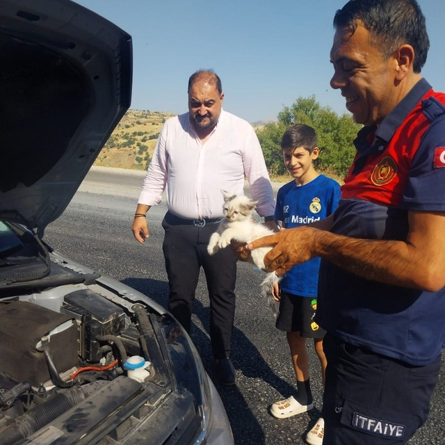 Otomobilin motoruna sıkışan kedi kurtarıldı