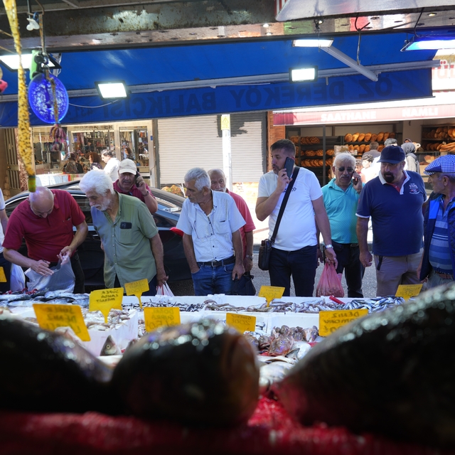 Karadeniz'de palamut patlaması: Tanesi 80 TL
İlk gün tanesi 150 TL'den satı...
