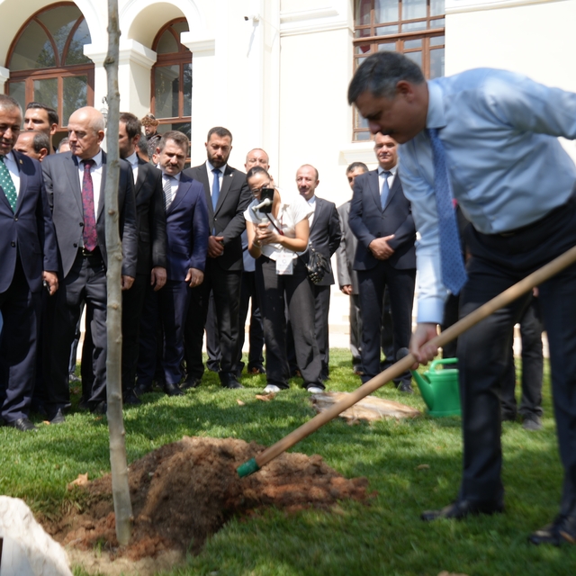 Bakanı Çiftçi, adını taşıyan çınar fidanını dikerek can suyu verdi