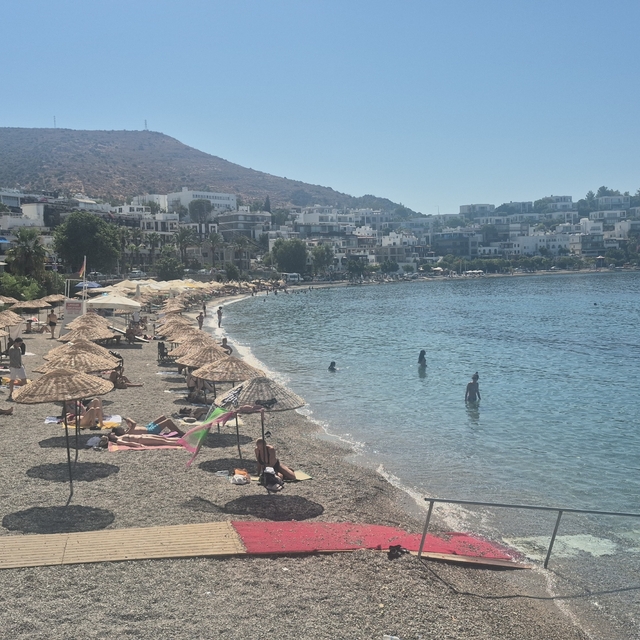 Bodrum'a iki gemiyle 2 bin 484 turist geldi