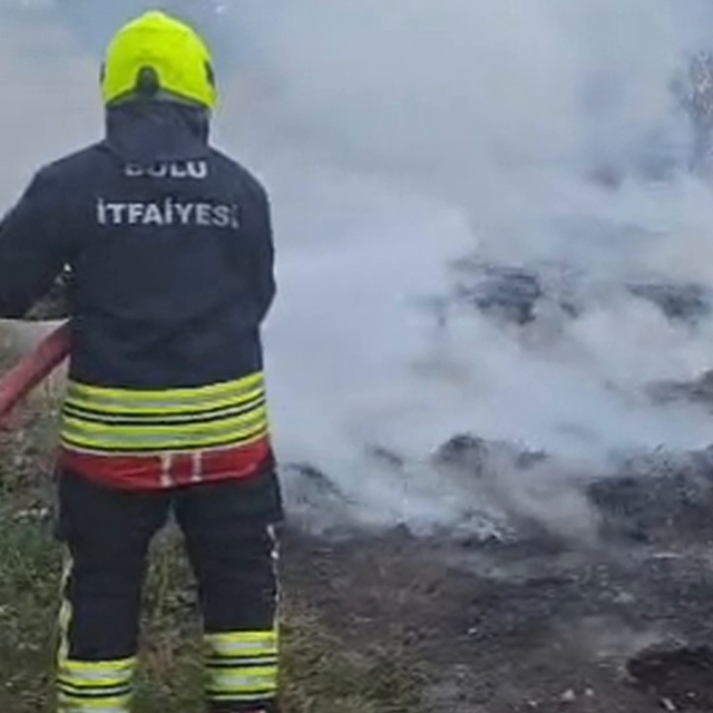 Bolu'da ot yangını paniğe neden oldu