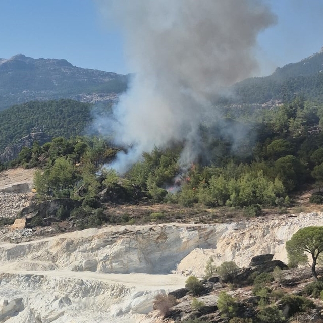 Milas'ta orman yangını