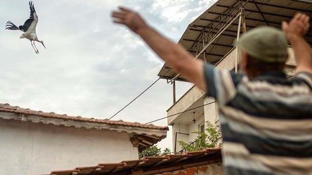 Yaren leyleğin vedası yürek burktu
Balıkçı Adem Yılmaz ile Yaren leyleğin hikayesini dünyaya duyuran Alper Tüydeş'ten duygusal paylaşım