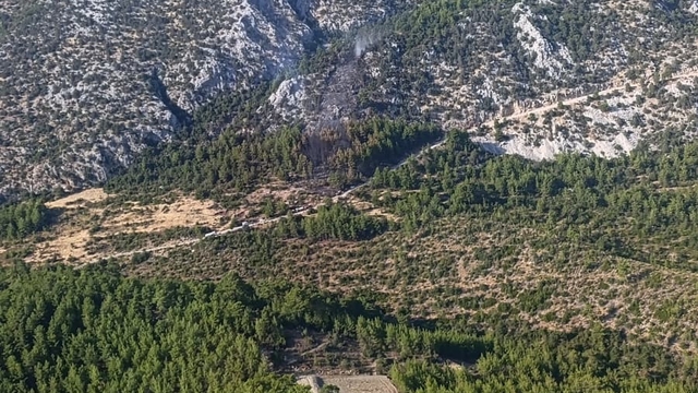 Antalya'da orman yangını (2)
