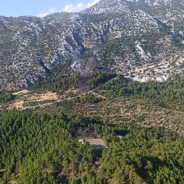 Antalya'da orman yangını (2)