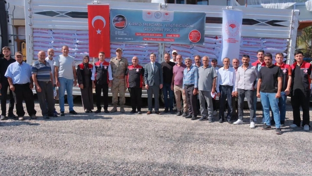 Kemaliye'de üreticilere yüzde 75 hibeli kırmızı mercimek tohumu desteği