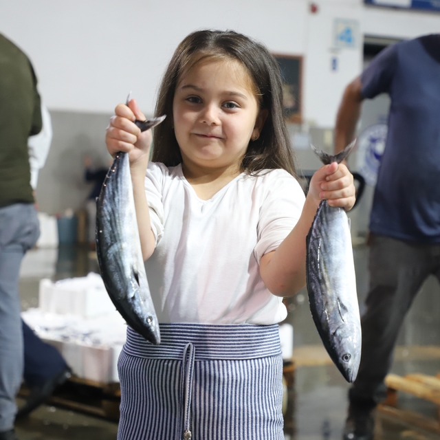 Karadeniz'de çifte bereket: Hem palamut hem hamsi bolluğu