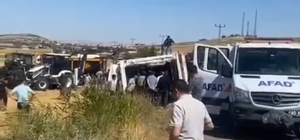 Kırşehir'de TIR devrildi: 4 büyükbaş hayvan öldü