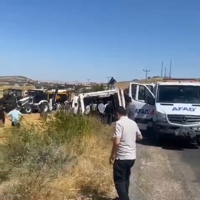 Kırşehir'de TIR devrildi: 4 büyükbaş hayvan öldü