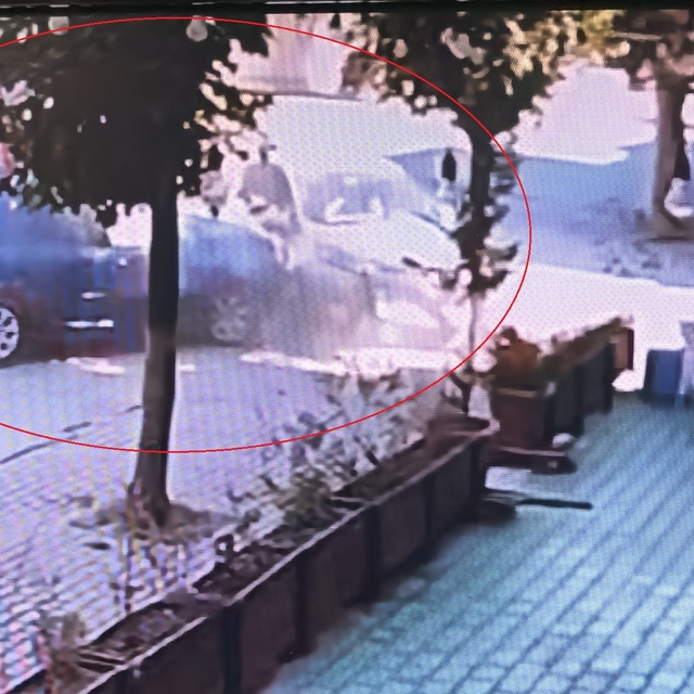 Caddede otomobiller çarpıştı; 3 yaralı