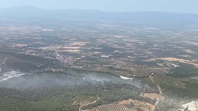 Manisa'da orman yangını