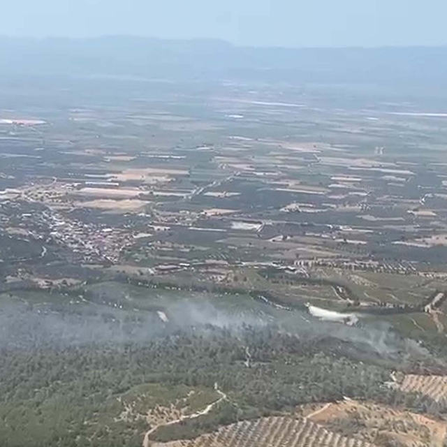 Manisa'da orman yangını