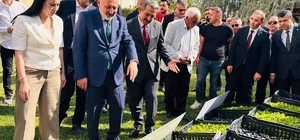 Şırnak'ta üreticilere 152 bin sebze fidesi ve çoban çantası dağıtıldı