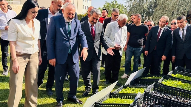 Şırnak'ta üreticilere 152 bin sebze fidesi ve çoban çantası dağıtıldı