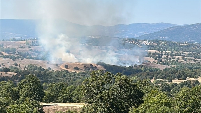 Bursa'da orman yangını