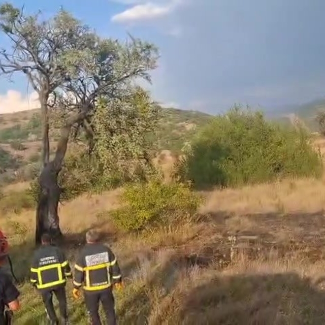 Bolu'da ağaca düşen yıldırım yangına sebep oldu
