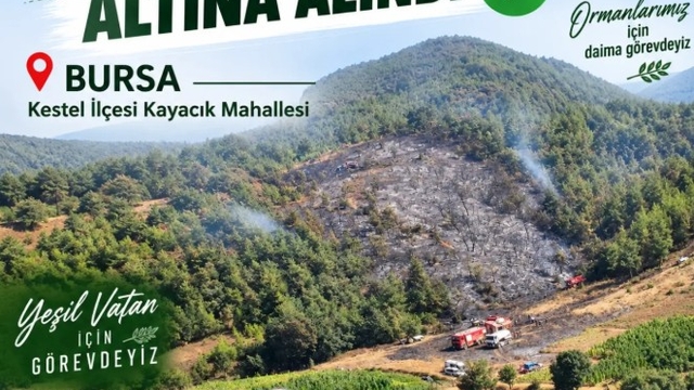 Bursa'da orman yangını (3)