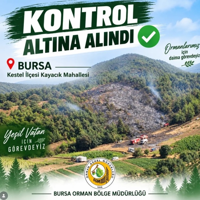 Bursa'da orman yangını (3)