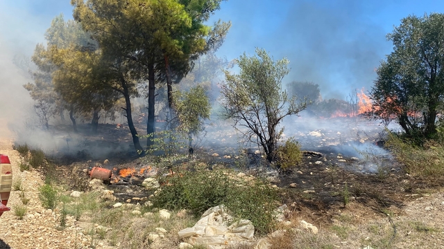 Antalya'da  zirai alanda çıkan yangın büyümeden söndürüldü