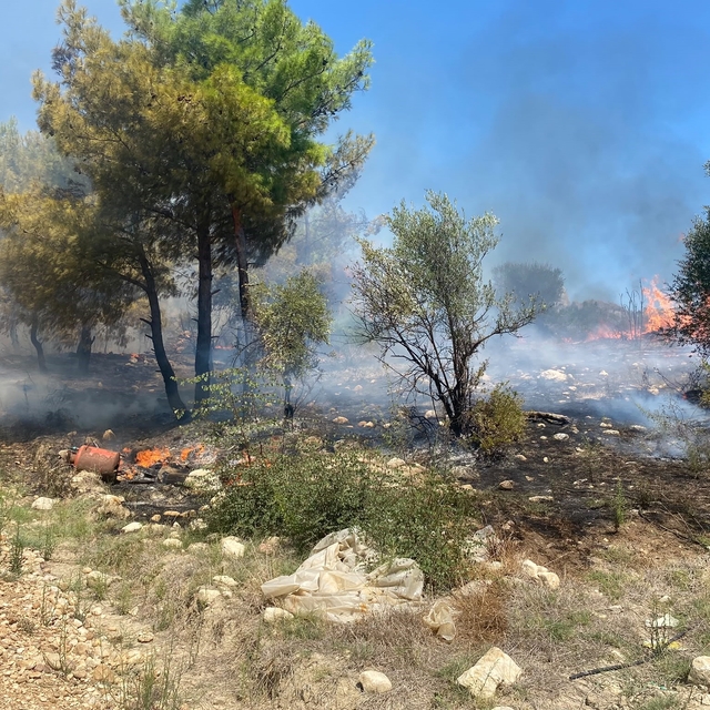 Antalya'da  zirai alanda çıkan yangın büyümeden söndürüldü