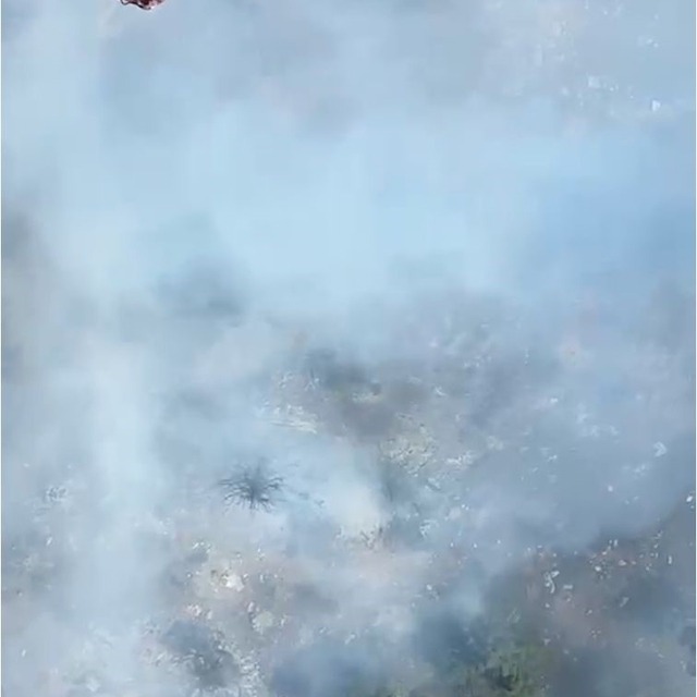 Alanya'nın iki ayrı mahallesindeki kısmen ormana sıçrayan yangın söndürüldü