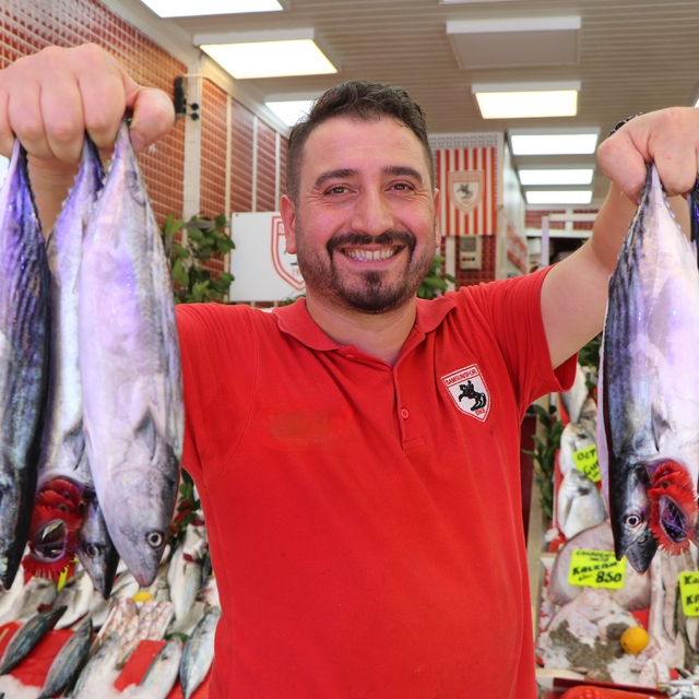 Karadeniz'de palamut bolluğu