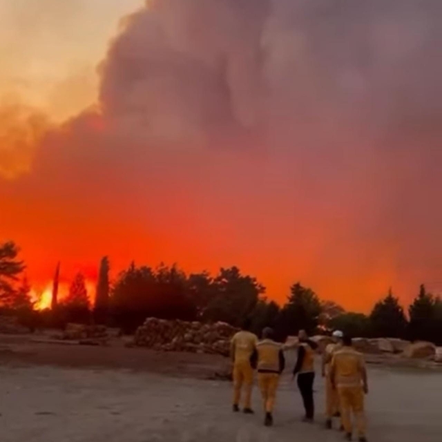 Menteşe'de orman yangını