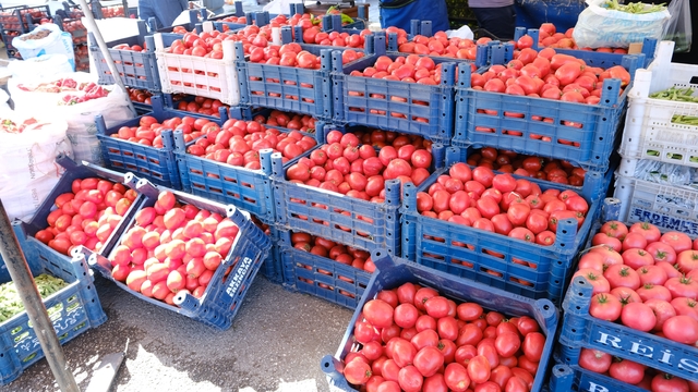Erzincan'da salçalık domates ve biberler tezgahlarda