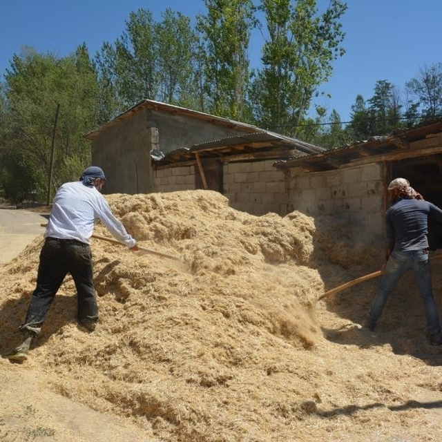Erzincan'da çiftçinin kış hazırlığı sürüyor