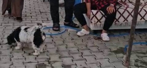 Konteyner kentte imam nikahlı koca dehşeti: Karısı ve kızıyla birlikte topl...