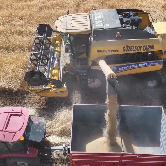 Erzincan'da baraj ve sulama suları tarlaları bereketle buluşturuyor