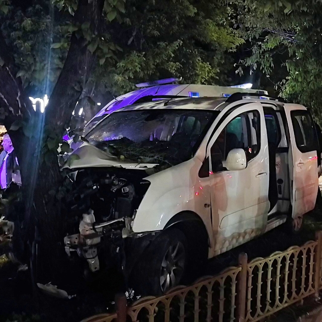 Kontrolden çıkan otomobil ağaca çarptı: 2 yaralı