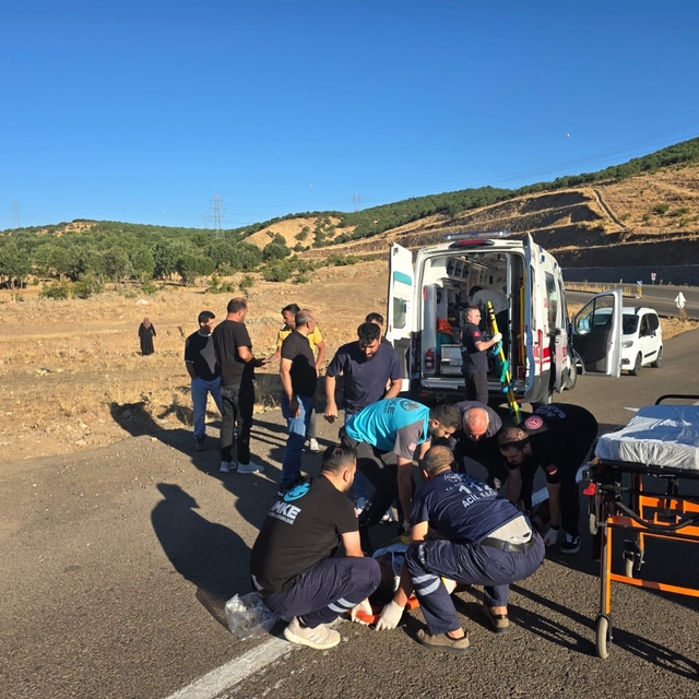 Bingöl'de kamyonet şarampole yuvarlandı: 3 yaralı
