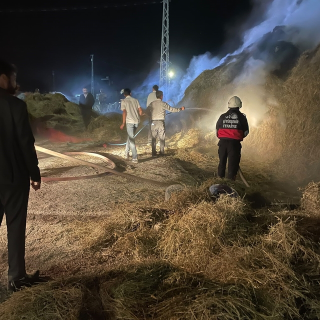 Van'da 2 bin 500 bağ ot yandı
