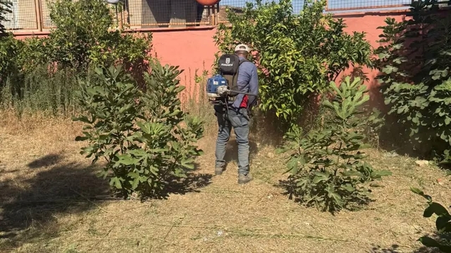 Germencik'te okullar yeni eğitim yılına hazırlanıyor