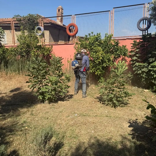 Germencik'te okullar yeni eğitim yılına hazırlanıyor