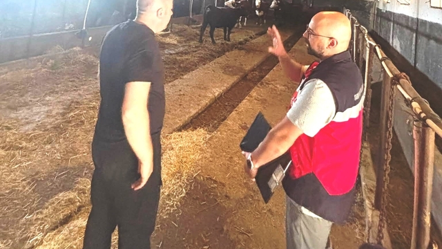 Tavşanlı'da Destek Projesi kapsamındaki ithal hayvanlar kontrolden geçirildi
