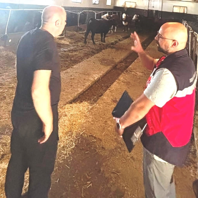 Tavşanlı'da Destek Projesi kapsamındaki ithal hayvanlar kontrolden geçirild...