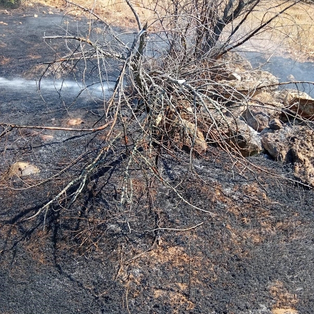 Bilecik'te köy yakınında ot yangını