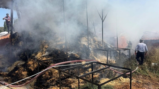 Bilecik'te iki köyde çıkan yangında çok miktarda saman balyası yandı