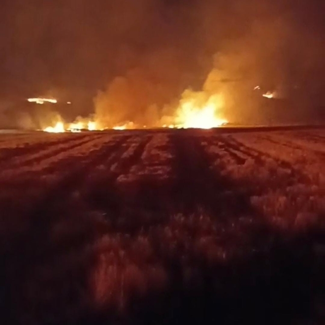 Yozgat'ta bin 500 dönüm arazi yandı