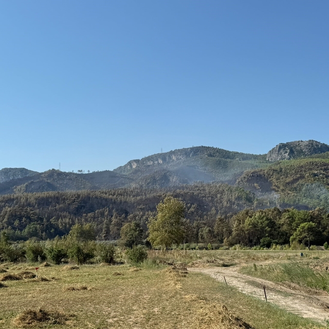 Antalya Serik'teki yangın büyük oranda kontrol altına alındı