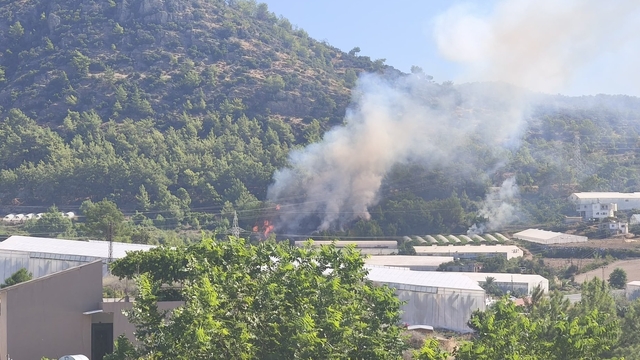 Bozyazı'da orman yangını büyümeden söndürüldü