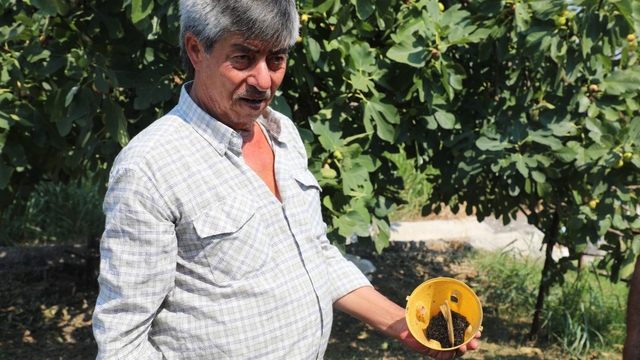 Muğla'da üreticinin emeğine çevre dostu koruma