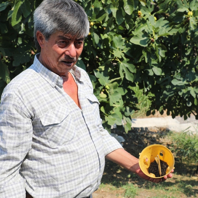 Muğla'da üreticinin emeğine çevre dostu koruma