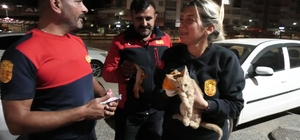 Yozgat'ta aracın motorunda mahsur kalan yavru kediyi itfaiye kurtardı
