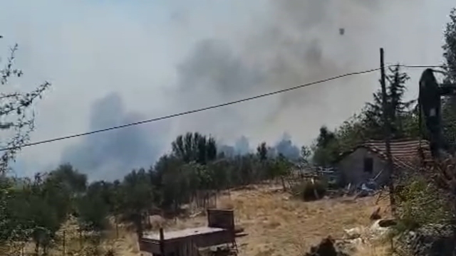 Burdur'da orman yangını
